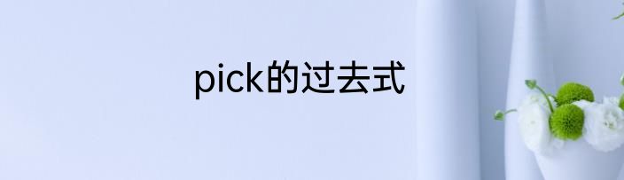 pick的过去式