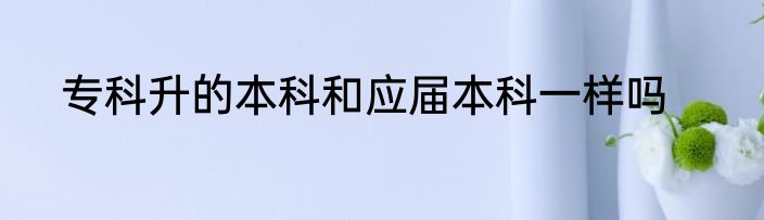 专科升的本科和应届本科一样吗