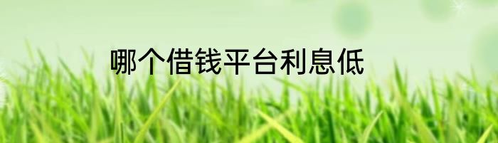 哪个借钱平台利息低