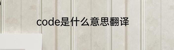 code是什么意思翻译