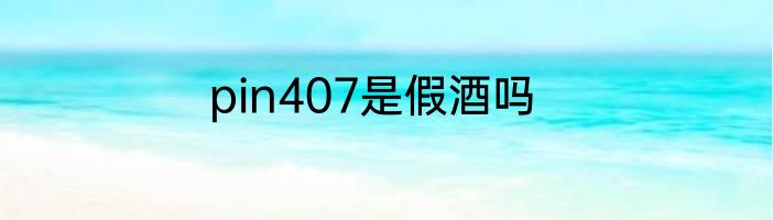 pin407是假酒吗