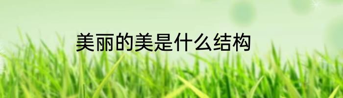 美丽的美是什么结构