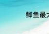 鲫鱼最大能长多少斤