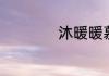 沐暖暖慕霆枭的介绍