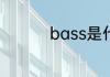 bass是什么牌子的东西