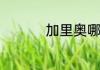 加里奥哪个皮肤有特效