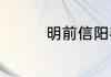 明前信阳毛尖多少钱一斤
