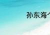 孙东海个人资料简介