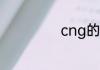 cng的SUV有哪些