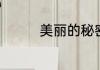 美丽的秘密的结局是什么