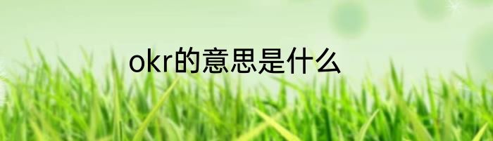 okr的意思是什么