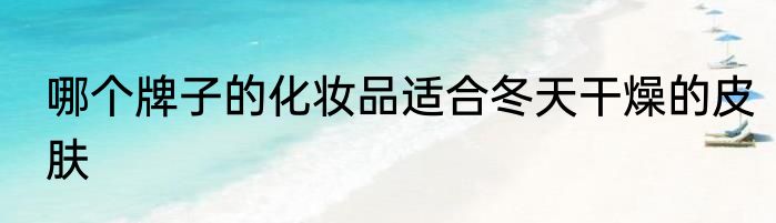 哪个牌子的化妆品适合冬天干燥的皮肤