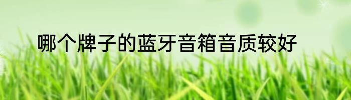 哪个牌子的蓝牙音箱音质较好
