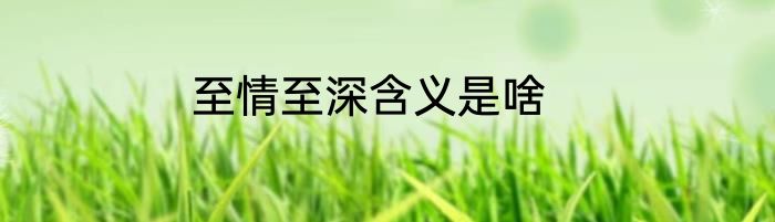 至情至深含义是啥