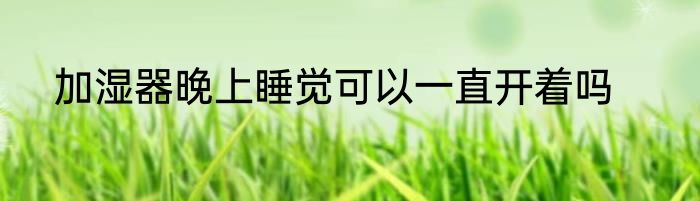 加湿器晚上睡觉可以一直开着吗
