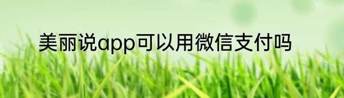 美丽说app可以用微信支付吗