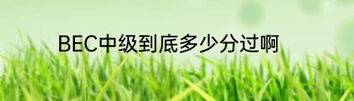 BEC中级到底多少分过啊