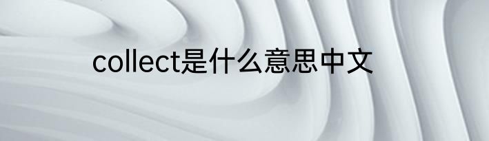 collect是什么意思中文