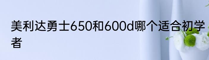 美利达勇士650和600d哪个适合初学者