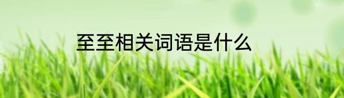 至至相关词语是什么