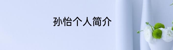 孙怡个人简介