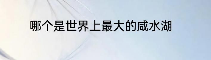 哪个是世界上最大的咸水湖