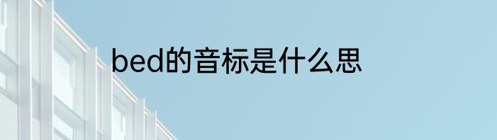bed的音标是什么思