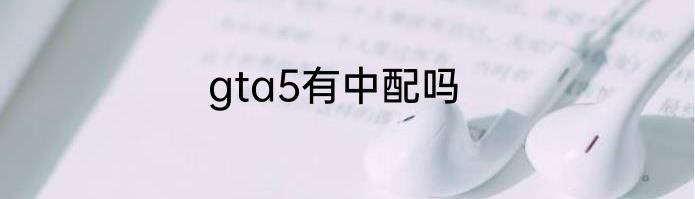 gta5有中配吗