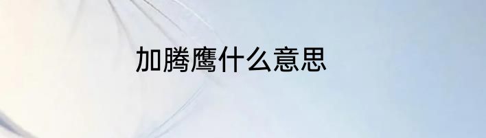 加腾鹰什么意思
