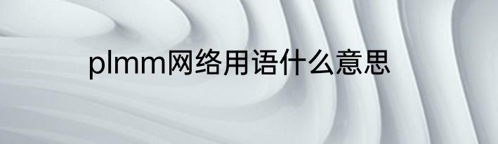 plmm网络用语什么意思