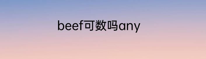 beef可数吗any