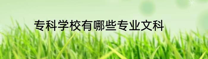 专科学校有哪些专业文科