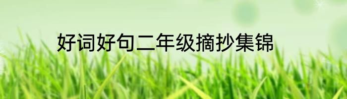 好词好句二年级摘抄集锦