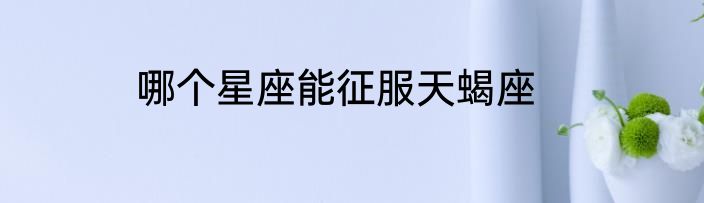 哪个星座能征服天蝎座