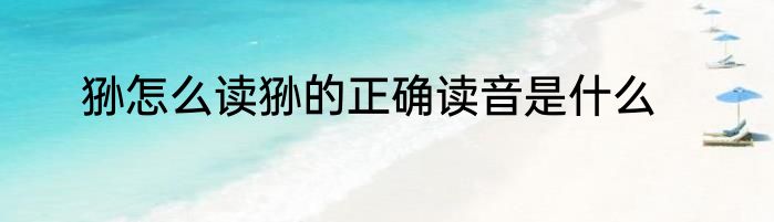 狲怎么读狲的正确读音是什么