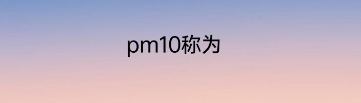 pm10称为