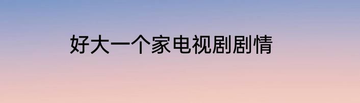 好大一个家电视剧剧情