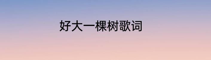 好大一棵树歌词