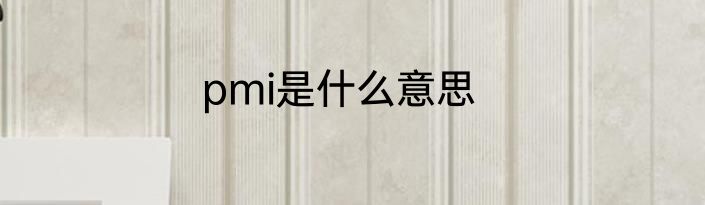 pmi是什么意思