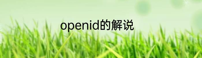 openid的解说