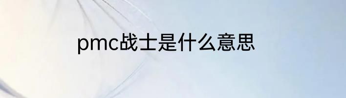 pmc战士是什么意思