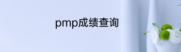 pmp成绩查询