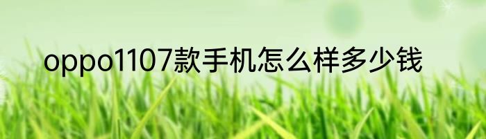 oppo1107款手机怎么样多少钱