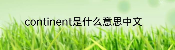 continent是什么意思中文