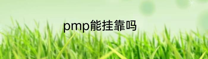 pmp能挂靠吗