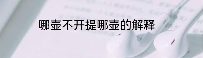 哪壶不开提哪壶的解释