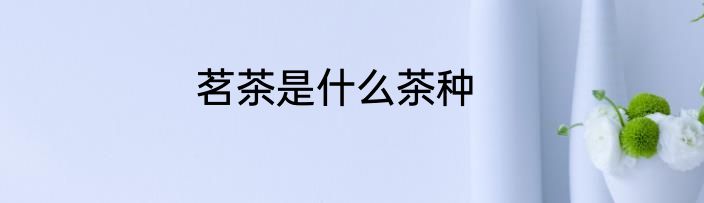 茗茶是什么茶种