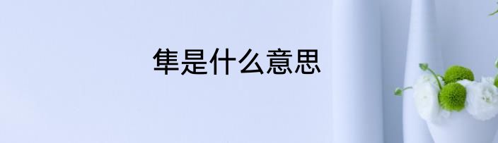 隼是什么意思