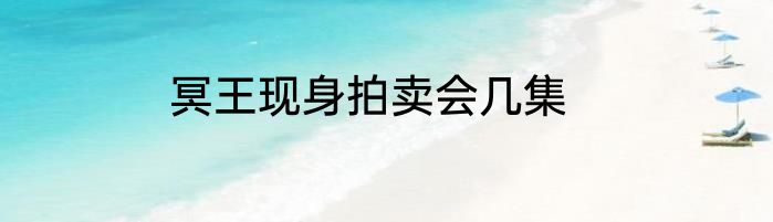 冥王现身拍卖会几集