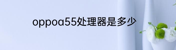 oppoa55处理器是多少